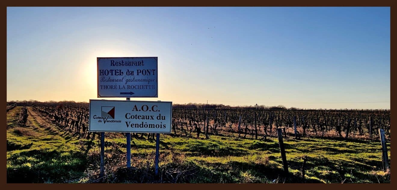 Le terroir de l'AOC Coteaux du Vendômois. Photo © Pierre d'Ornano/Aeternus.fr