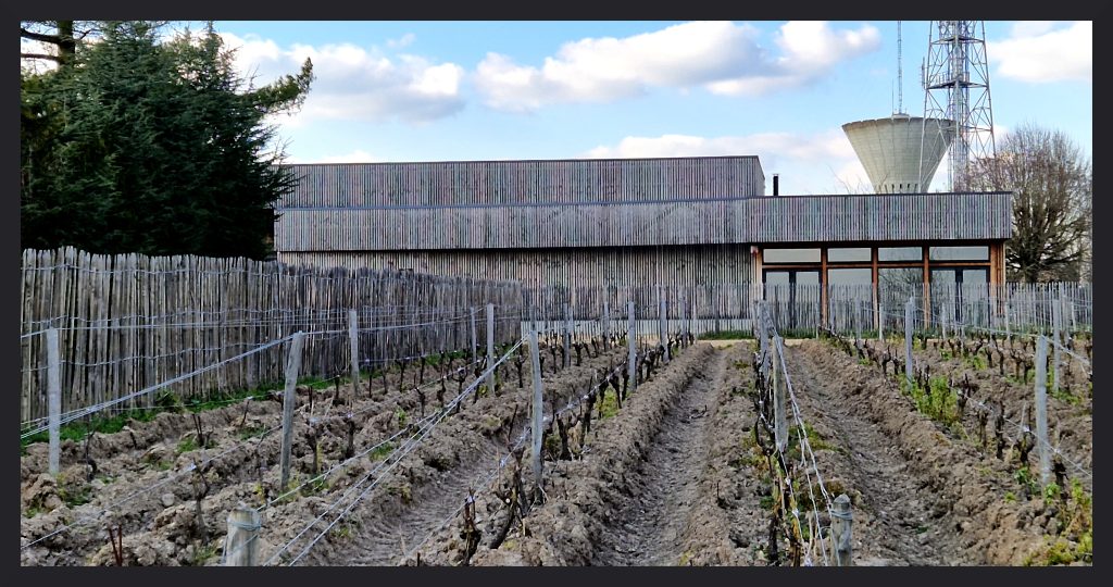 La nouvelle cuverie du Domaine Colin, inaugurée en 2022. Photo © Pierre d'Ornano/Aeternus.fr
