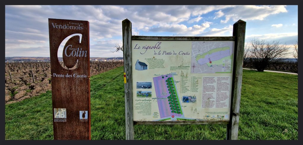 Parcelle du domaine Patrice Colin dans La pente des Coutis, qui couvre 5,5 hectares plantés en 1996. Le sous-sol est composé à 100% de calcaire très dur, sous une couche d’argile avec des silex en surface. Photo © Pierre d'Ornano/Aeternus.fr