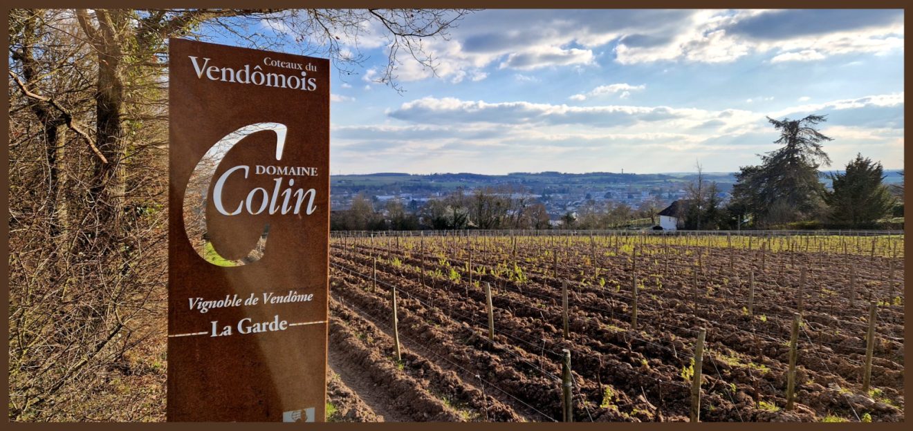 Parcelle La Garde, appellation Coteau-du-Vendômois - Domaine Patrice Colin. Photo © Pierre d'Ornano/Aeternus.fr