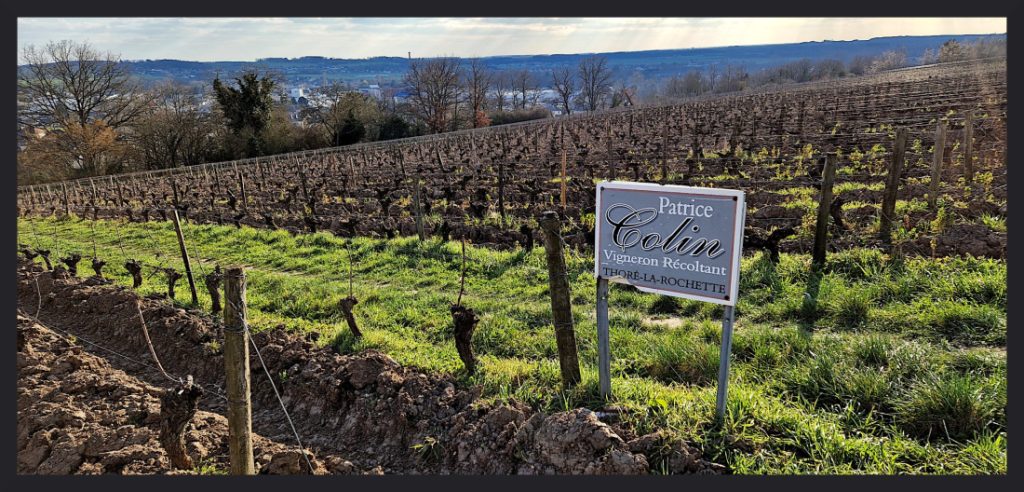 Parcelle de vignes Patrice Colin sur la pente de Coutis. Photo © Pierre d'Ornano/Aeternus.fr