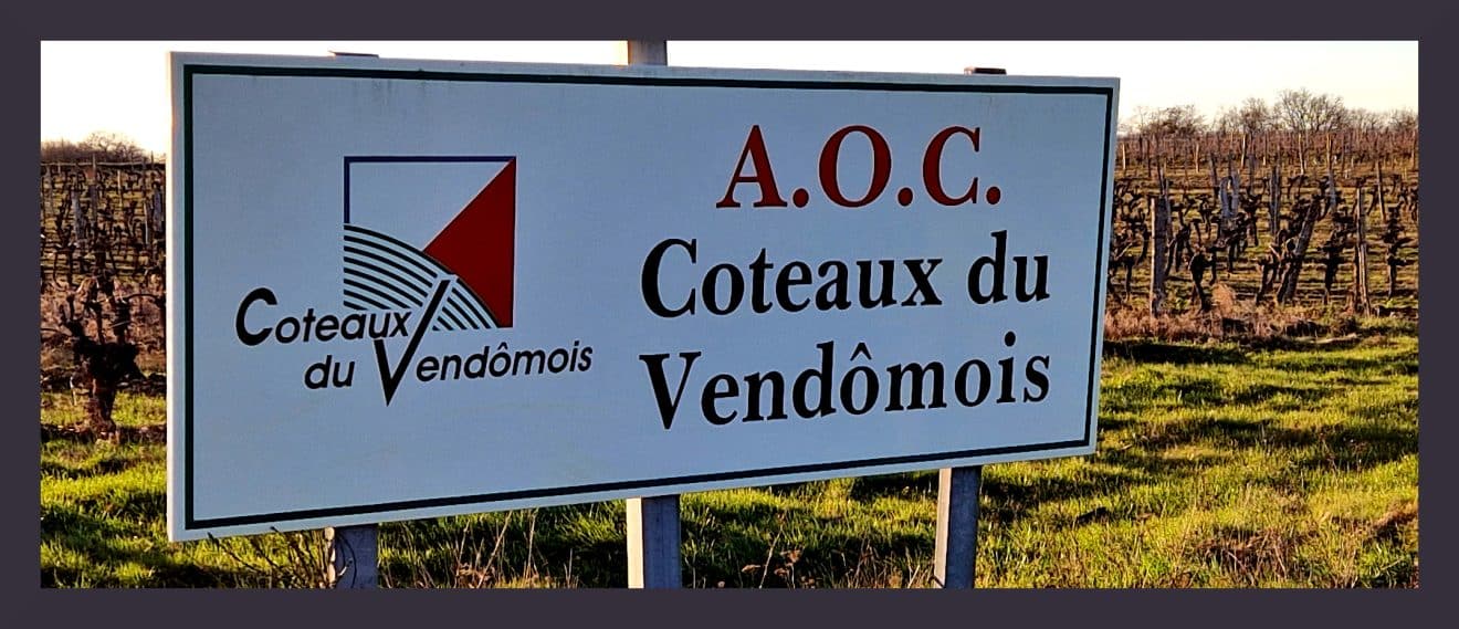 Cave Jumert, l’authenticité du pineau d’Aunis