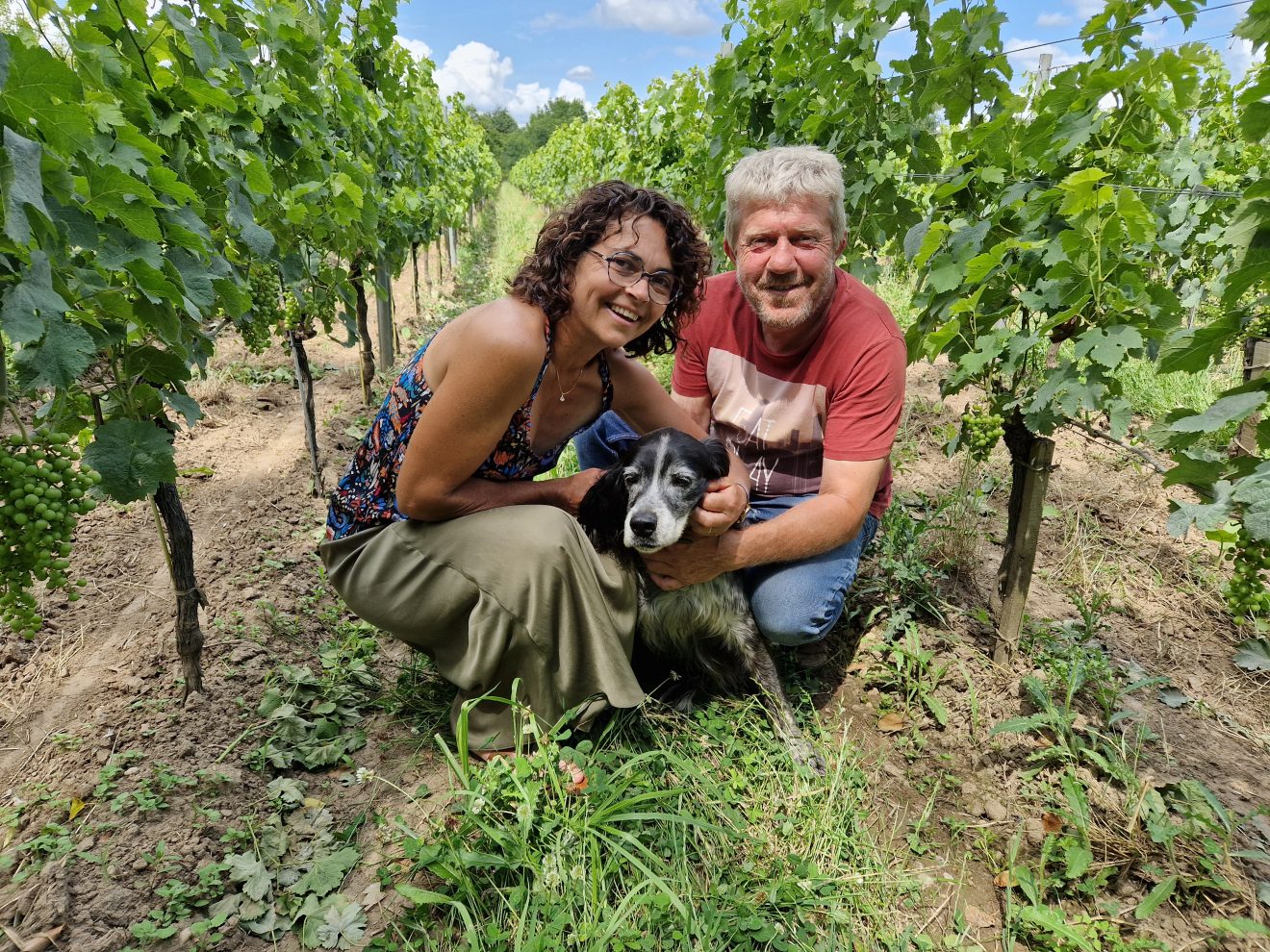 Le Domaine des Rouillats : une nouvelle génération de vins du bergeracois