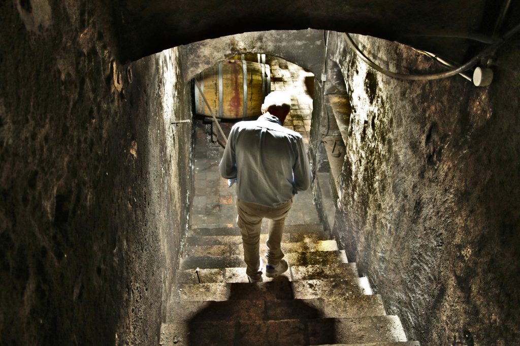 L'entrée de la cave du Clos Saint-Fiacre. Photo © Pierre d'Ornano | Aeternus.fr