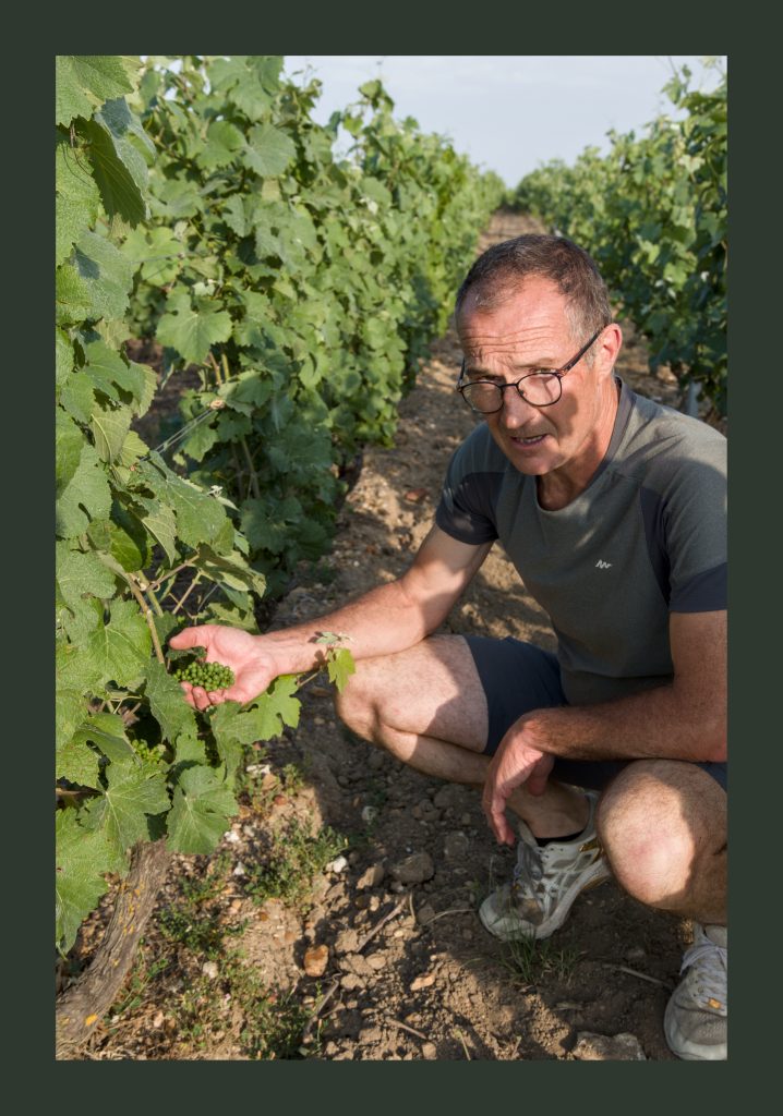 Hubert Piel dans une de ses parcelles de Pinot Meunier. Photo © Pierre d'Ornano | Aeternus.fr